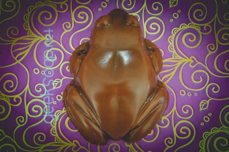 Harry Potter chocolate frog geek soap by GEEKSOAP.net